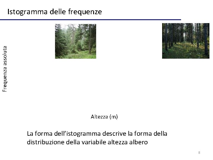 Frequenza assoluta Istogramma delle frequenze Altezza (m) La forma dell’istogramma descrive la forma della