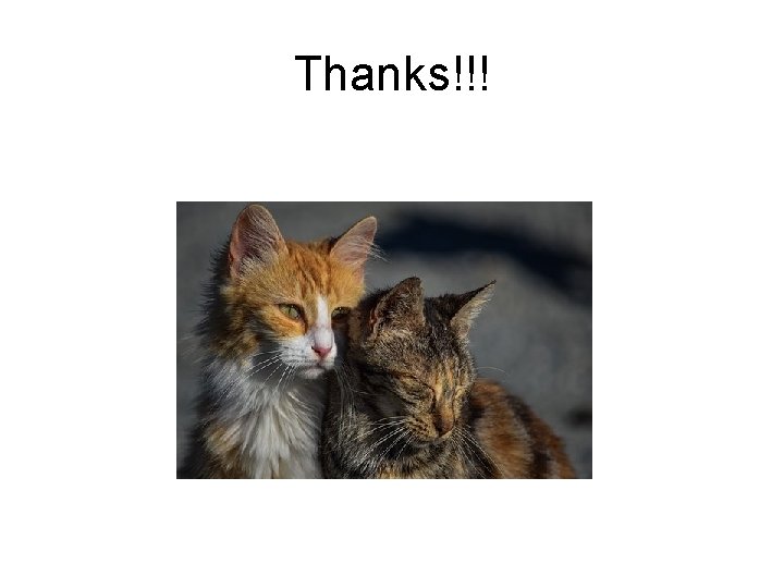 Thanks!!! 