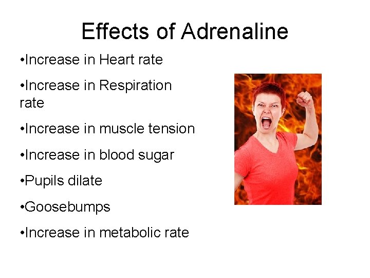 Effects of Adrenaline • Increase in Heart rate • Increase in Respiration rate •