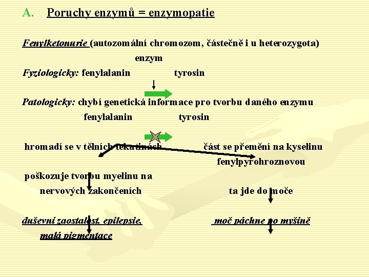 A. Poruchy enzymů = enzymopatie Fenylketonurie (autozomální chromozom, částečně i u heterozygota) enzym Fyziologicky: