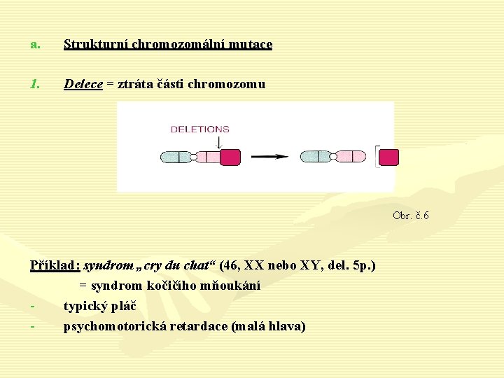 a. Strukturní chromozomální mutace 1. Delece = ztráta části chromozomu Obr. č. 6 Příklad: