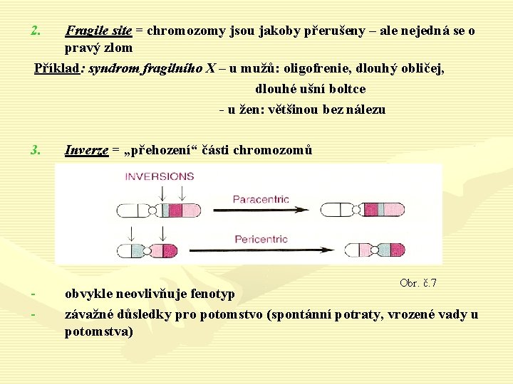 2. Fragile site = chromozomy jsou jakoby přerušeny – ale nejedná se o pravý