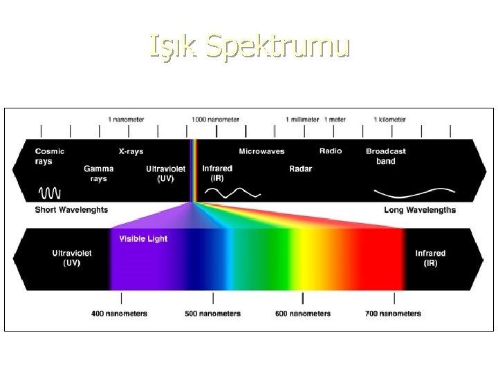 Işık Spektrumu 