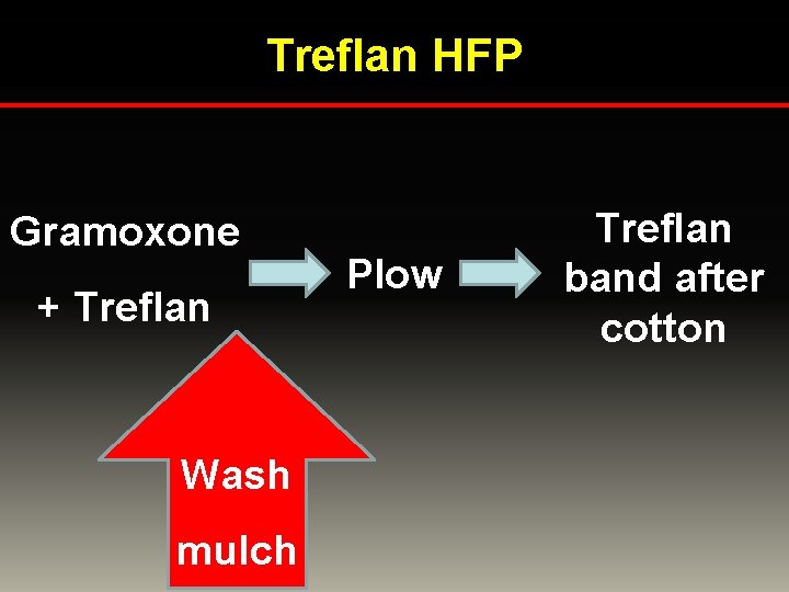 Treflan HFP Gramoxone + Treflan Wash mulch Plow Treflan band after cotton 