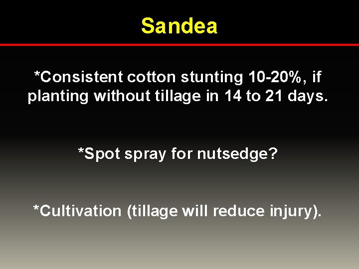 Sandea *Consistent cotton stunting 10 -20%, if planting without tillage in 14 to 21