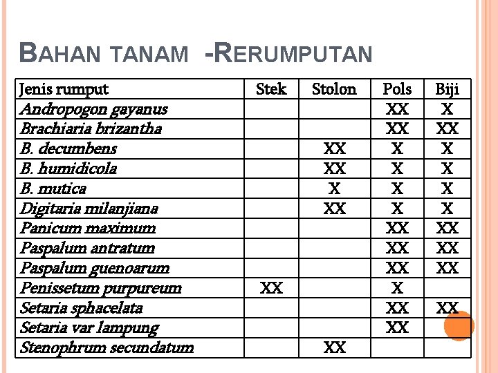 BAHAN TANAM -RERUMPUTAN Jenis rumput Andropogon gayanus Brachiaria brizantha B. decumbens B. humidicola B.
