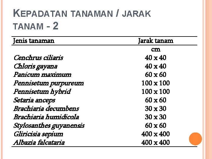 KEPADATAN TANAMAN / JARAK TANAM - 2 Jenis tanaman Cenchrus ciliaris Chloris gayana Panicum