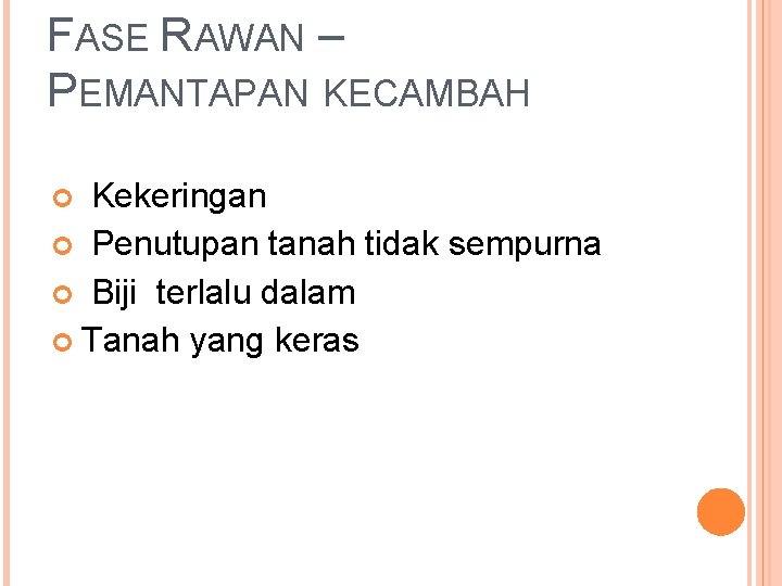 FASE RAWAN – PEMANTAPAN KECAMBAH Kekeringan Penutupan tanah tidak sempurna Biji terlalu dalam Tanah