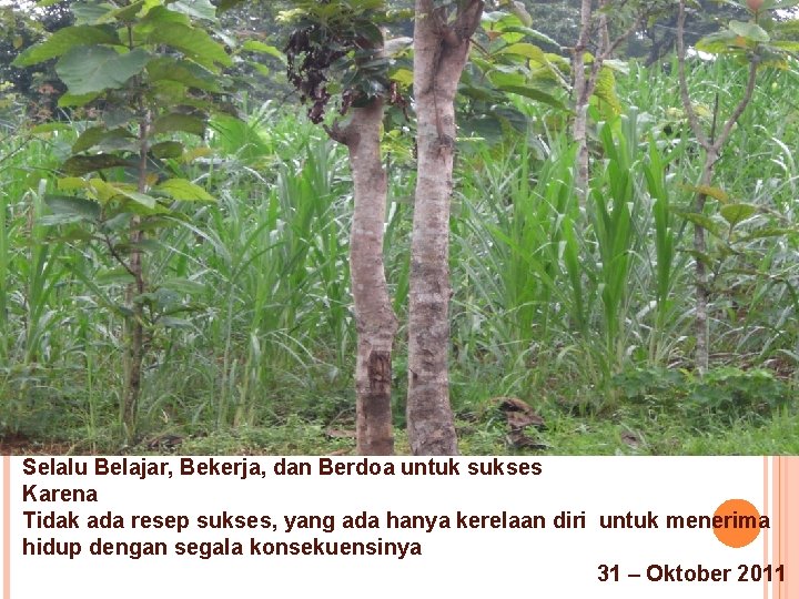 Selalu Belajar, Bekerja, dan Berdoa untuk sukses Karena Tidak ada resep sukses, yang ada