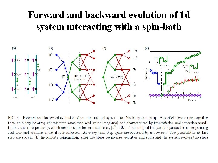 Forward and backward evolution of 1 d system interacting with a spin-bath 
