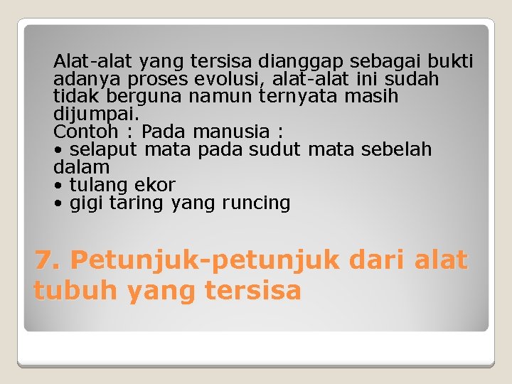 Alat-alat yang tersisa dianggap sebagai bukti adanya proses evolusi, alat-alat ini sudah tidak berguna