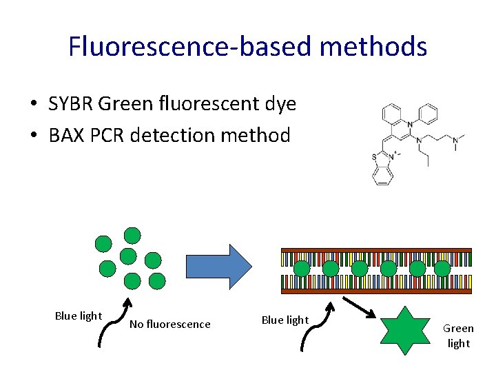 Fluorescence-based methods • SYBR Green fluorescent dye • BAX PCR detection method Blue light