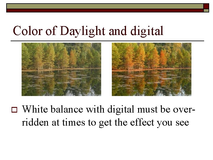 Color of Daylight and digital o White balance with digital must be overridden at