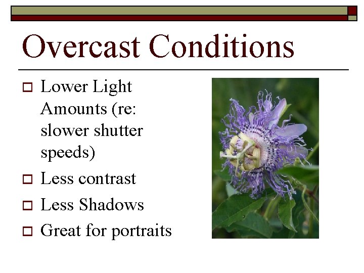 Overcast Conditions o o Lower Light Amounts (re: slower shutter speeds) Less contrast Less