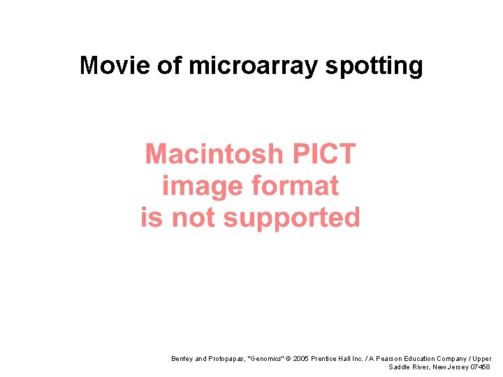 Movie of microarray spotting Benfey and Protopapas, "Genomics" © 2005 Prentice Hall Inc. /