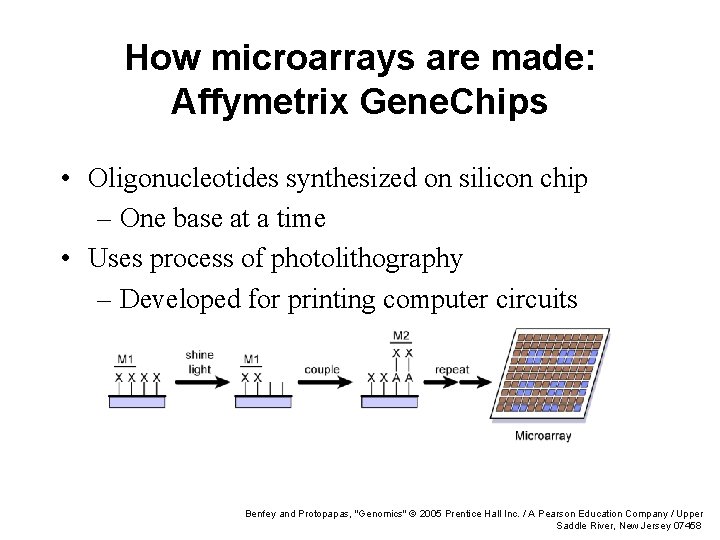 How microarrays are made: Affymetrix Gene. Chips • Oligonucleotides synthesized on silicon chip –