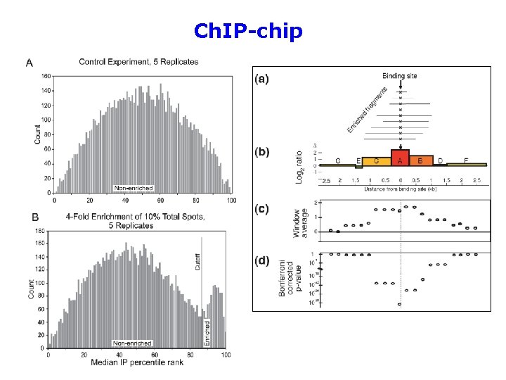 Ch. IP-chip 