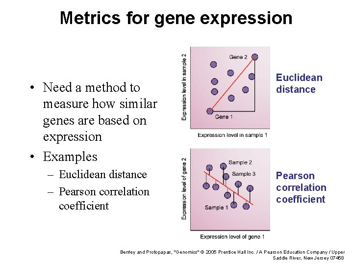 Metrics for gene expression • Need a method to measure how similar genes are