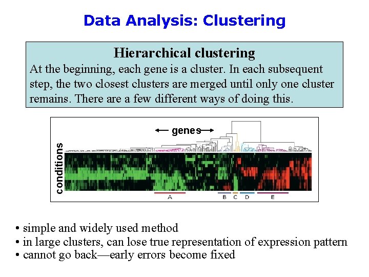 Data Analysis: Clustering Hierarchical clustering At the beginning, each gene is a cluster. In