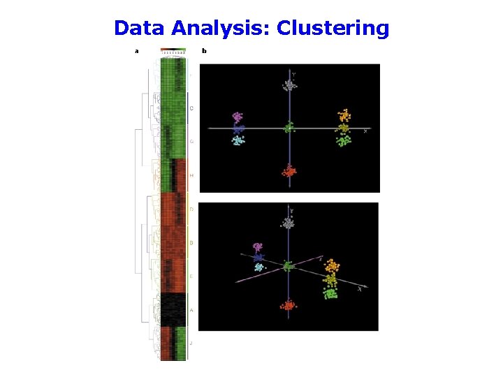 Data Analysis: Clustering 