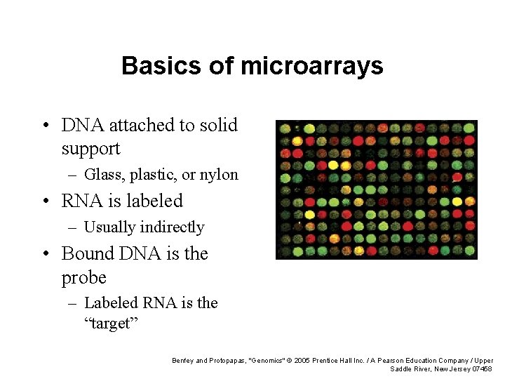 Basics of microarrays • DNA attached to solid support – Glass, plastic, or nylon