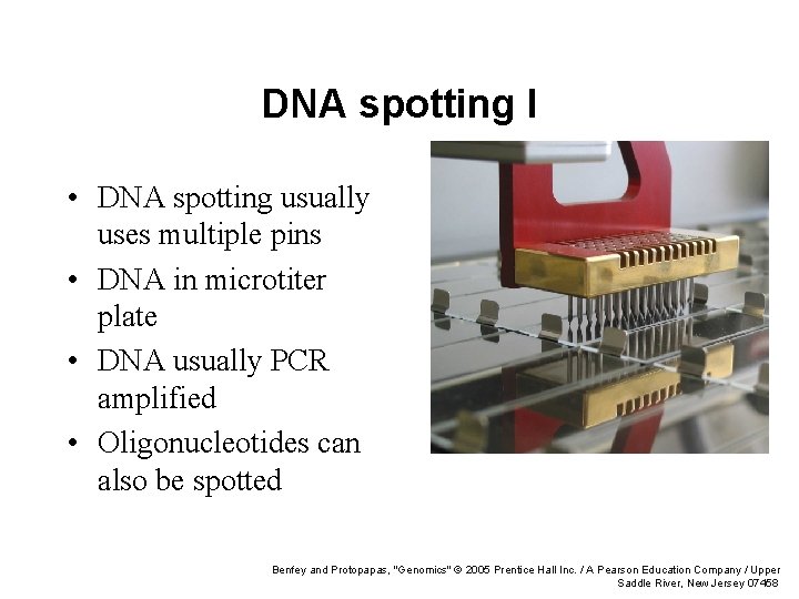 DNA spotting I • DNA spotting usually uses multiple pins • DNA in microtiter
