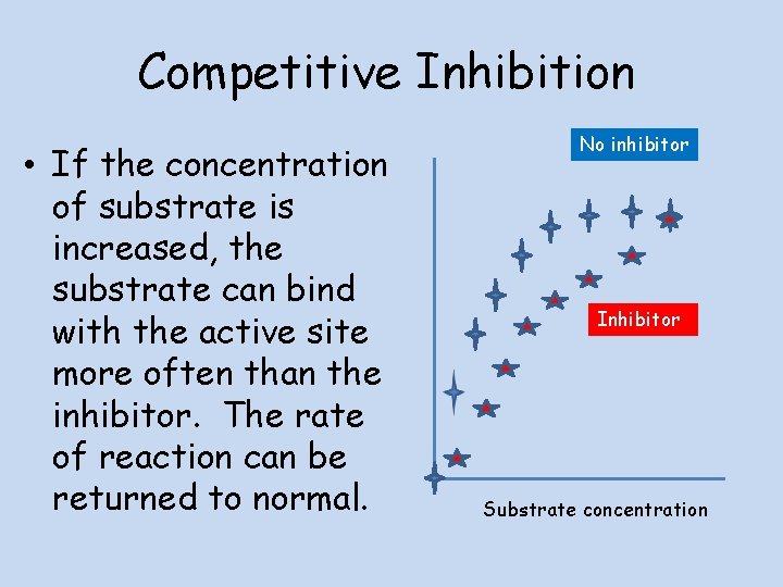 Competitive Inhibition • If the concentration of substrate is increased, the substrate can bind