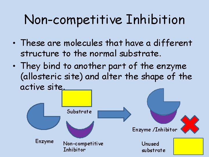 Non-competitive Inhibition • These are molecules that have a different structure to the normal