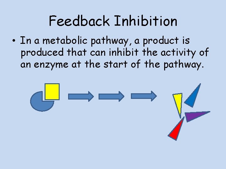Feedback Inhibition • In a metabolic pathway, a product is produced that can inhibit