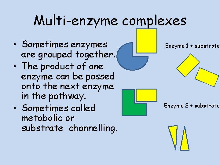 Higher Biology Unit 2 2 1 Metabolic Pathways