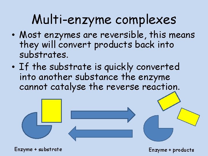 Multi-enzyme complexes • Most enzymes are reversible, this means they will convert products back