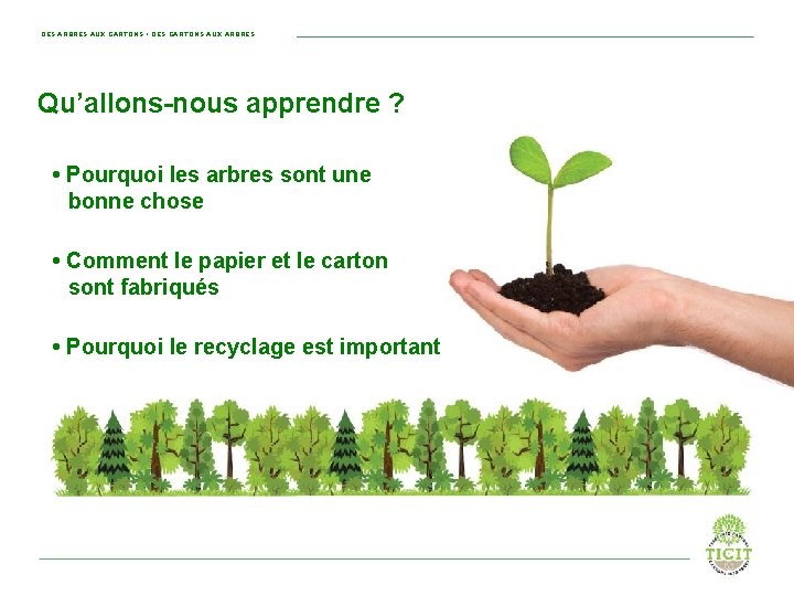 DES ARBRES AUX CARTONS • DES CARTONS AUX ARBRES Qu’allons-nous apprendre ? • Pourquoi