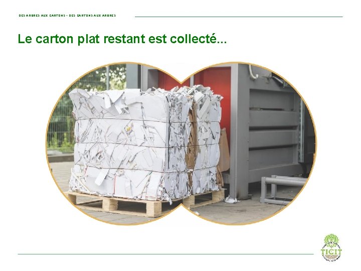 DES ARBRES AUX CARTONS • DES CARTONS AUX ARBRES Le carton plat restant est