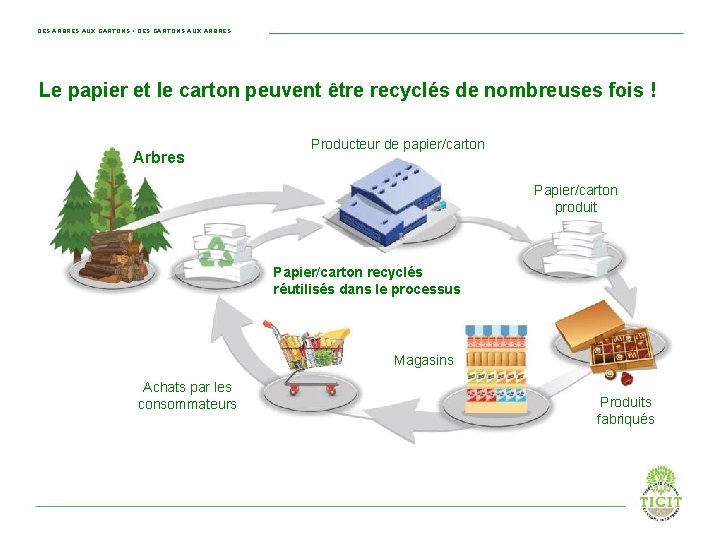 DES ARBRES AUX CARTONS • DES CARTONS AUX ARBRES Le papier et le carton