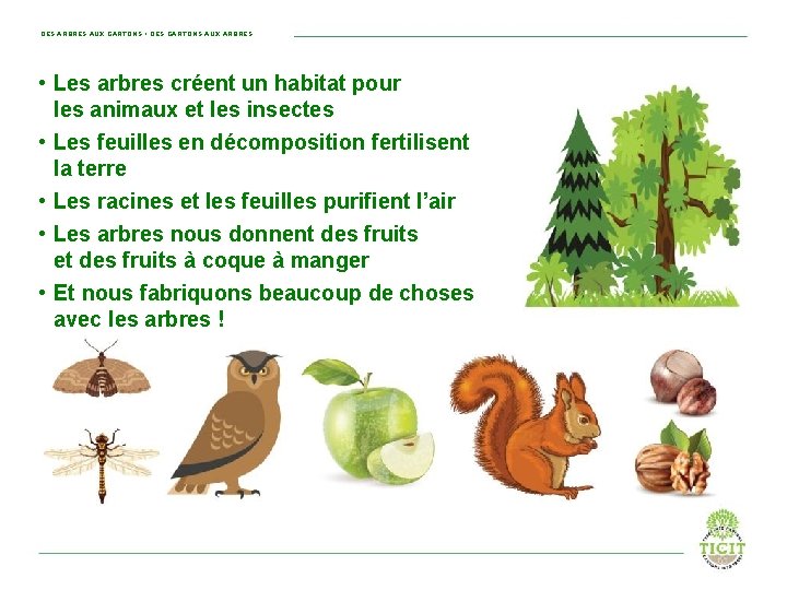 DES ARBRES AUX CARTONS • DES CARTONS AUX ARBRES • Les arbres créent un