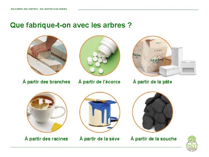 DES ARBRES AUX CARTONS • DES CARTONS AUX ARBRES Que fabrique-t-on avec les arbres