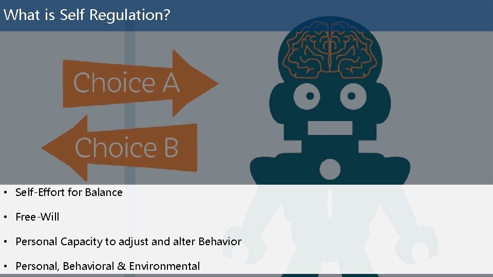 What is Self Regulation? • Self-Effort for Balance • Free-Will • Personal Capacity to