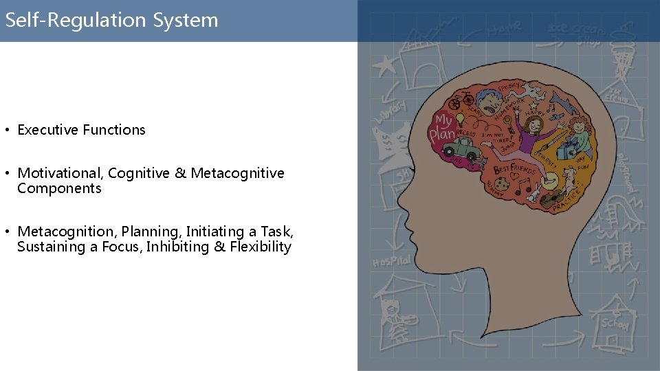 Self-Regulation System • Executive Functions • Motivational, Cognitive & Metacognitive Components • Metacognition, Planning,