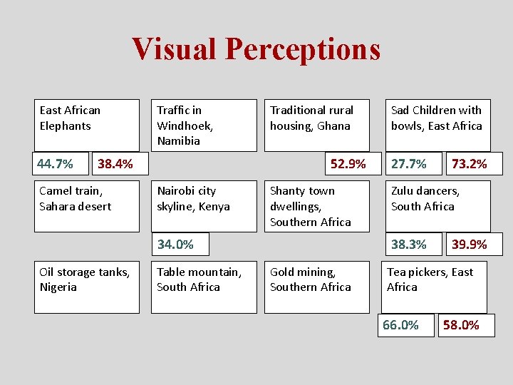 Visual Perceptions East African Elephants 44. 7% Traffic in Windhoek, Namibia 52. 9% 38.