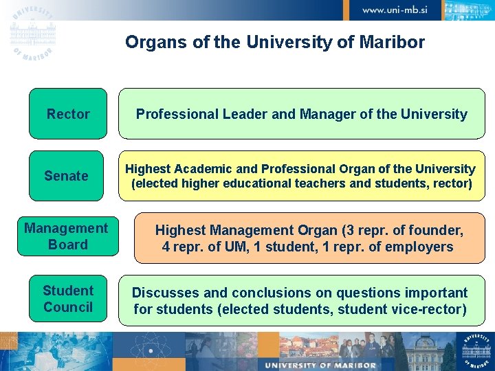 Organs of the University of Maribor Rector Professional Leader and Manager of the University