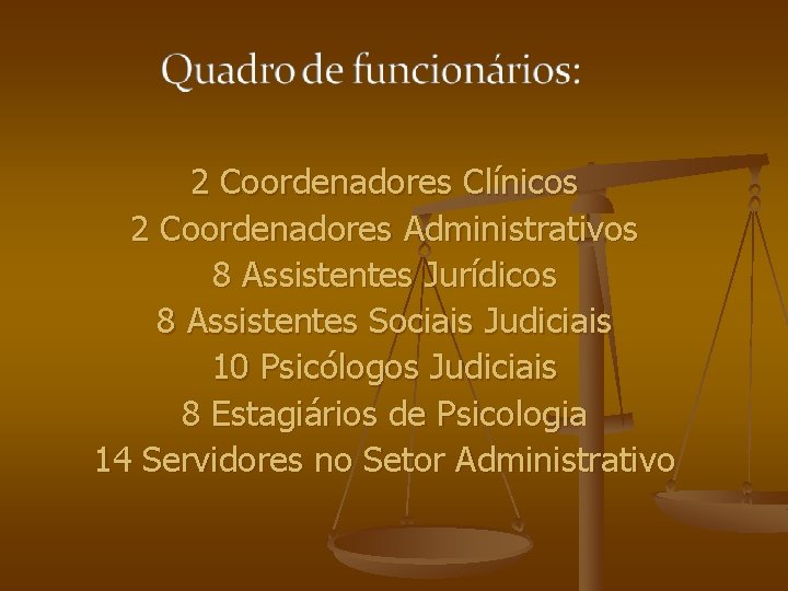 2 Coordenadores Clínicos 2 Coordenadores Administrativos 8 Assistentes Jurídicos 8 Assistentes Sociais Judiciais 10