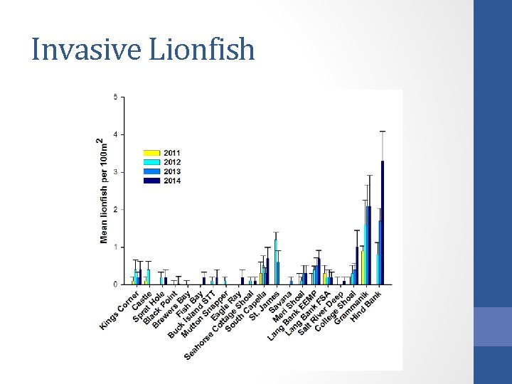 Invasive Lionfish 