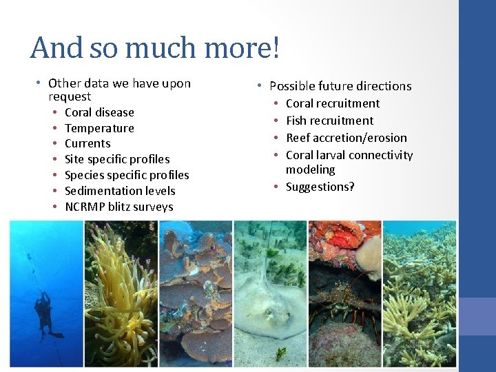 And so much more! • Other data we have upon request • Coral disease