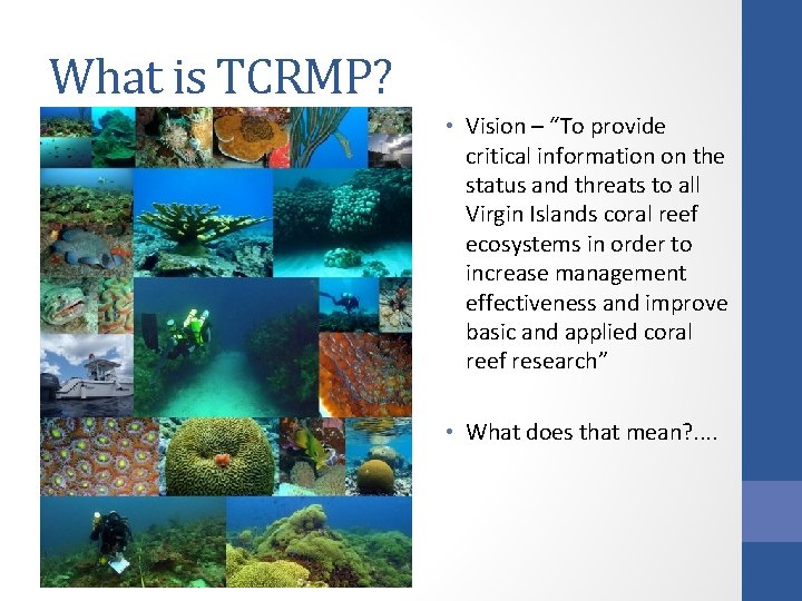 What is TCRMP? • Vision – “To provide critical information on the status and