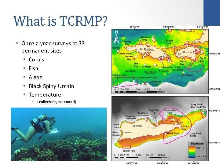 What is TCRMP? • Once a year surveys at 33 permanent sites • Corals
