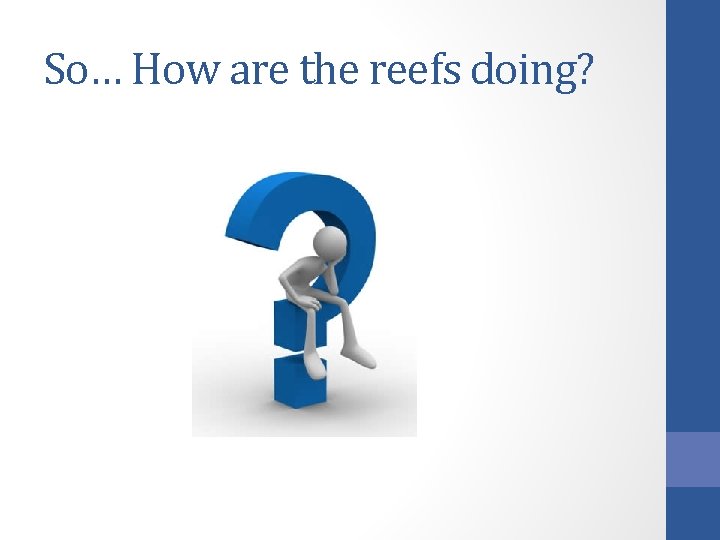 So… How are the reefs doing? 