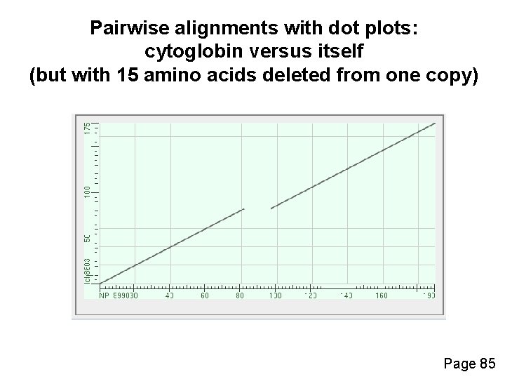 Pairwise alignments with dot plots: cytoglobin versus itself (but with 15 amino acids deleted