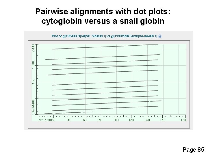 Pairwise alignments with dot plots: cytoglobin versus a snail globin Page 85 