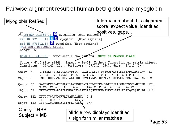 Pairwise alignment result of human beta globin and myoglobin Myoglobin Ref. Seq Query =