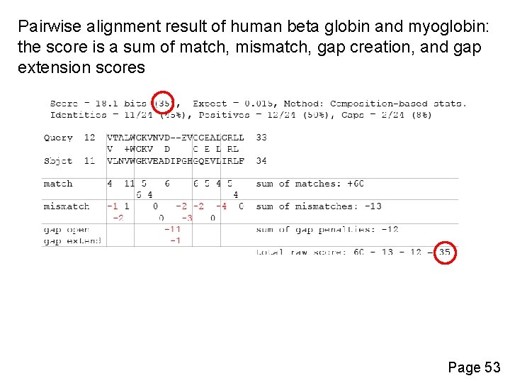 Pairwise alignment result of human beta globin and myoglobin: the score is a sum